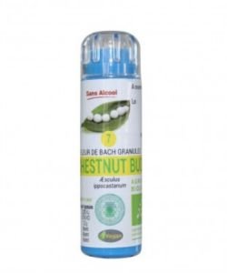 Chestnut Bud (7) WITHOUT ALCOHOL FREE